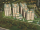 website Home Page